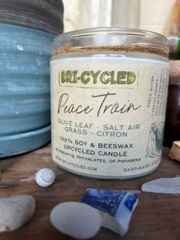Peace Train